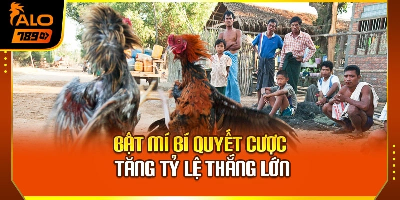 Bật mí bí quyết cược tăng tỷ lệ thắng lớn