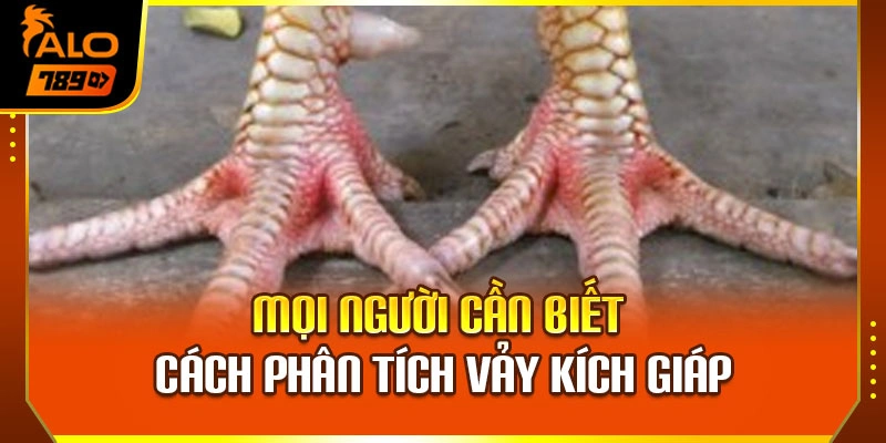 Mọi người cần biết cách phân tích vảy kích giáp