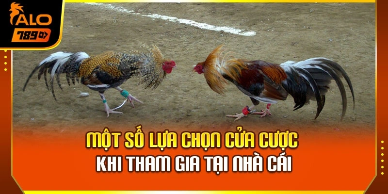 Một số lựa chọn cửa cược khi tham gia tại nhà cái