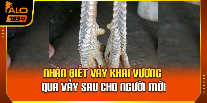 Nhận biết vảy khai vương qua vảy sau cho người mới