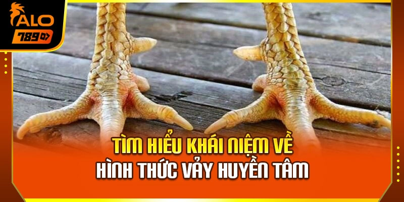 Tìm hiểu khái niệm về hình thức vảy huyền tâm