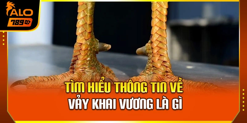 Tìm hiểu thông tin về vảy khai vương là gì