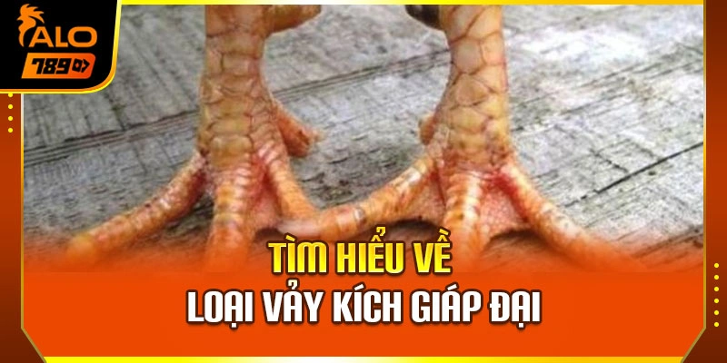 Tìm hiểu về loại vảy Kích Giáp Đại 